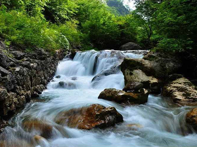 蘭州+東公館+拉卜楞寺+郎木寺+黃河九曲第一灣+花湖+扎尕那+臘子口+官鵝溝+伏羲廟+麥積山8日游