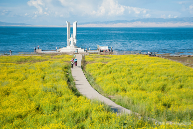 茶卡鎮(zhèn)-青海湖-蘭州（500KM 7H）