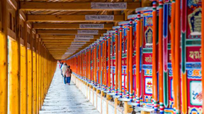 久治縣-夏河拉卜楞寺-蘭州